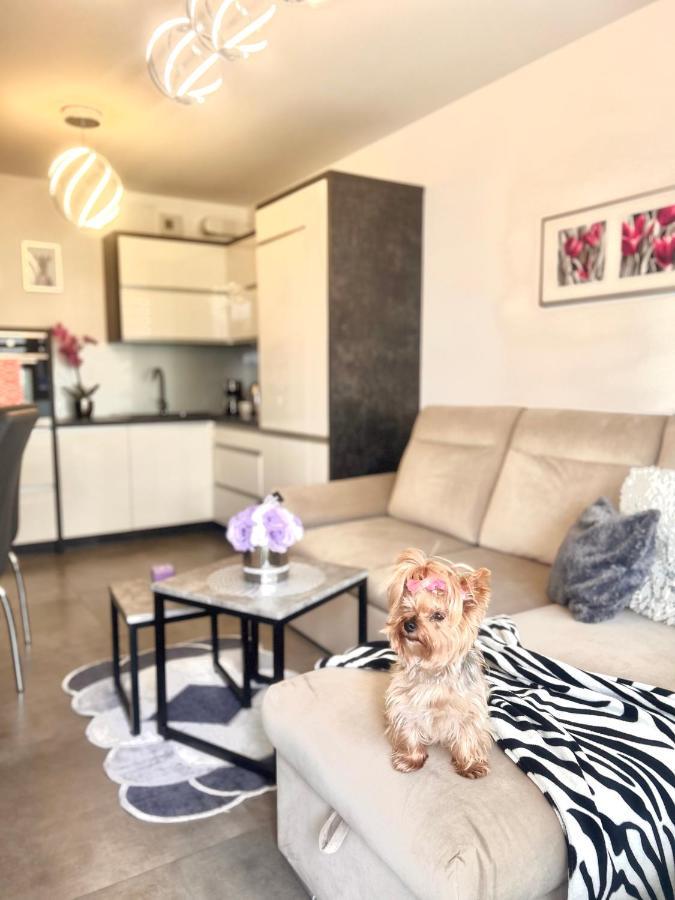 Downtownapartments Andy Air-Conditioned, Underground Parking Available Rzeszów Esterno foto